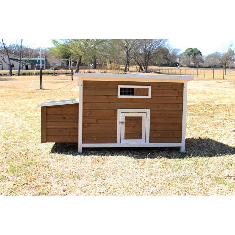 Brown and White Wooden Chicken Coop with Nesting Box