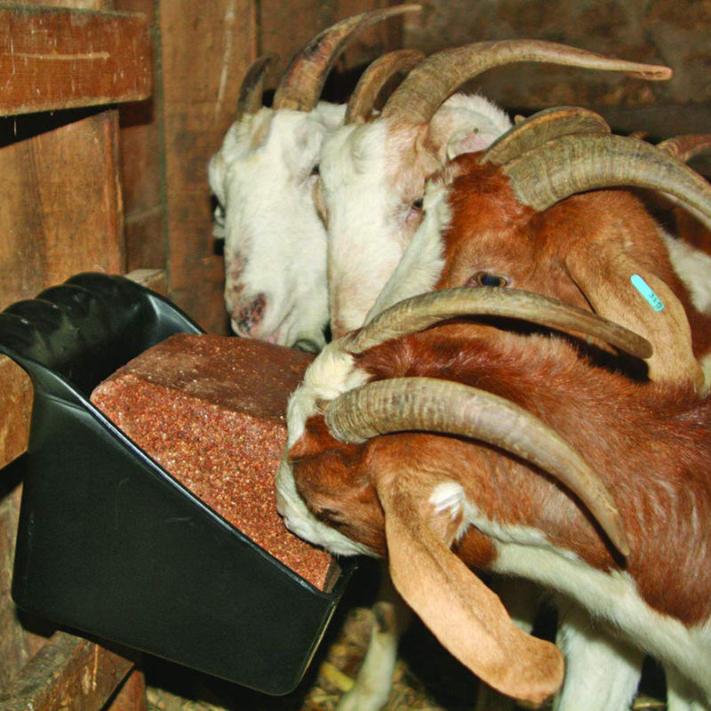 766.88oz. Livestock Feeder