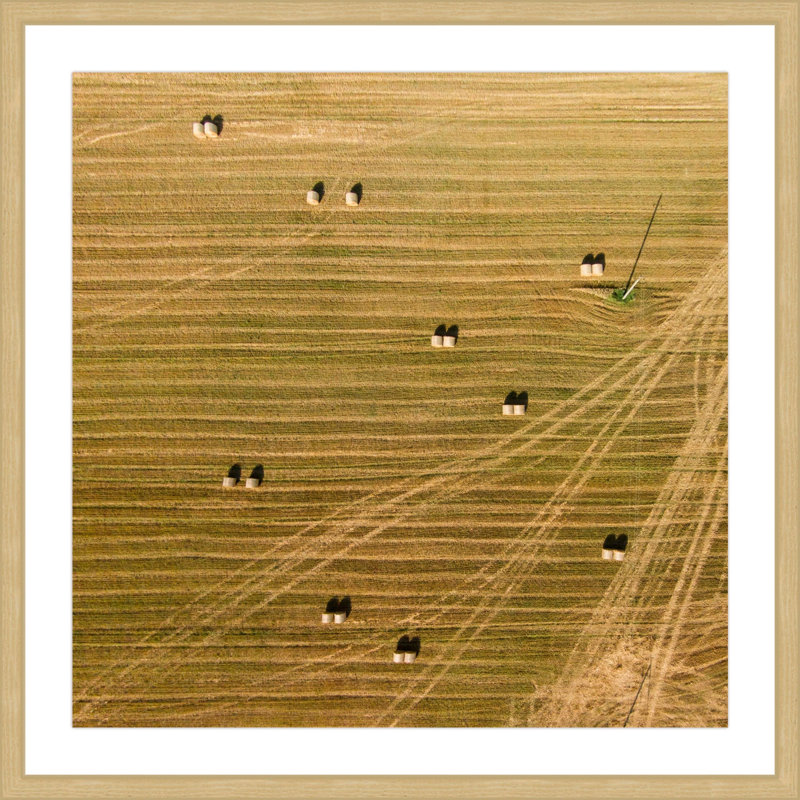 Single Picture Frame Print, 51 cm H x 51 cm W x 3.81 cm D