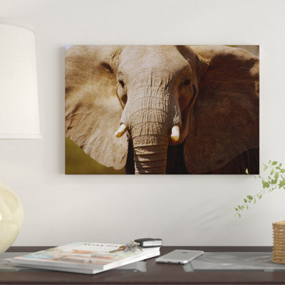 « africain éléphant close up amboseli national park kenya », reproduction de photo sur toile