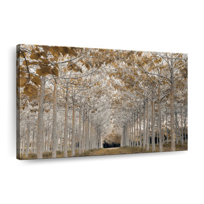 White Gold Canvas Print