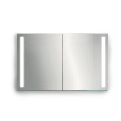 Lalonde 48 " W X 30 " H Surface Frameless Medicine Cabinet