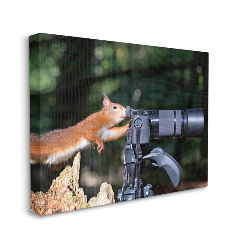 «Funny Squirreler» par Julie Hunt, H 30 po x l 40 po x P 1,5 po