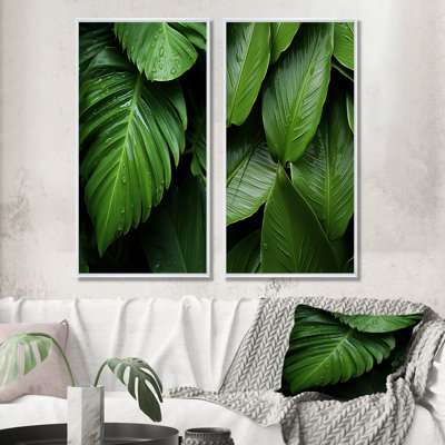 Palm Leaves Serenity - Palms & Palm Trees Wall Decor Set Of 2