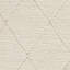 Hechavarria Chevron 120cm X 170cm Area Rug