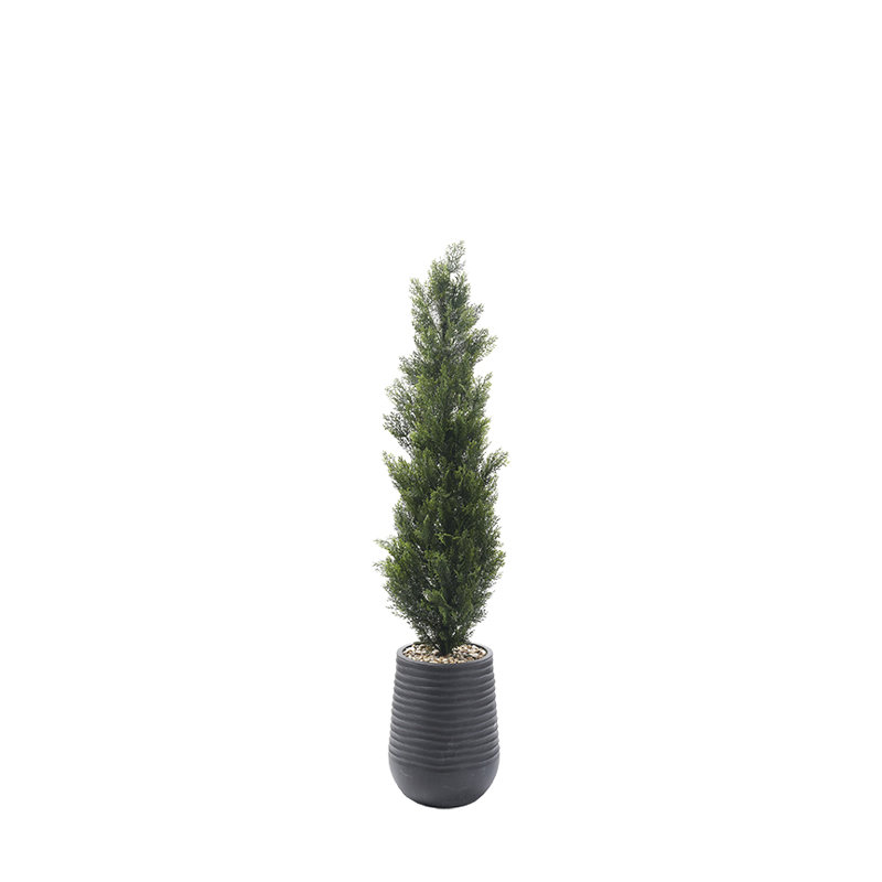 Indoor Outdoor 6' Cedar Topiary in Artemis Planter