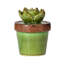 Figurine en céramique Echeveria-1695784436