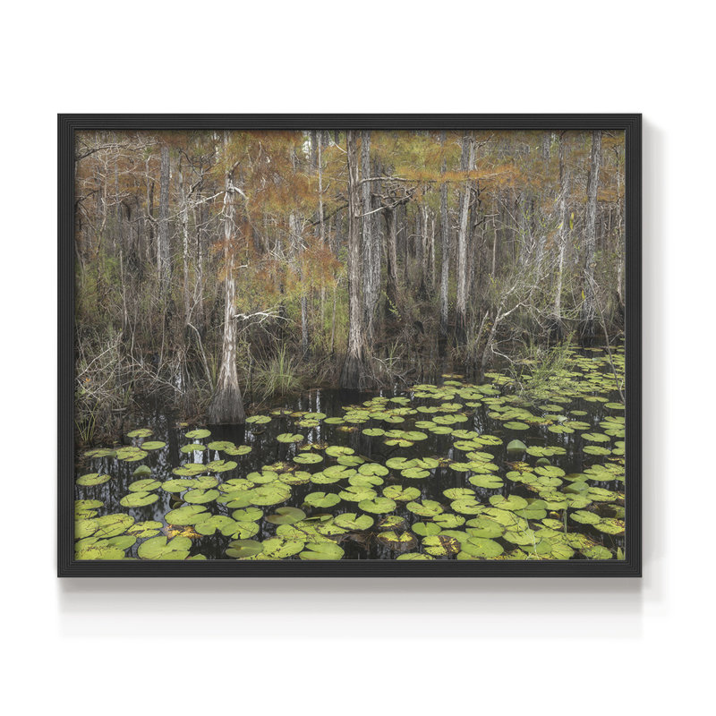 Bayou - reproduction encadrée d'automne, Noir, noir, noir, noir, H 16 po x l 20 po