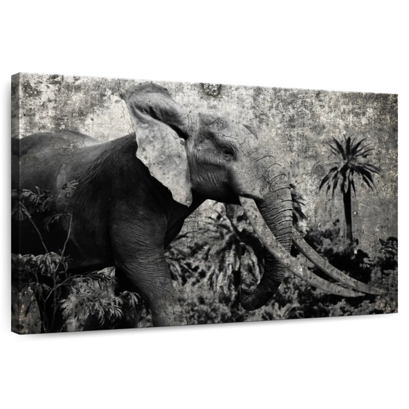 Éléphant safari Brampt Prime, H 8 po x l 12 po