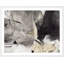 Allegro In Gray Painting by Ivo Stoyanov-1562948591-1562948584
