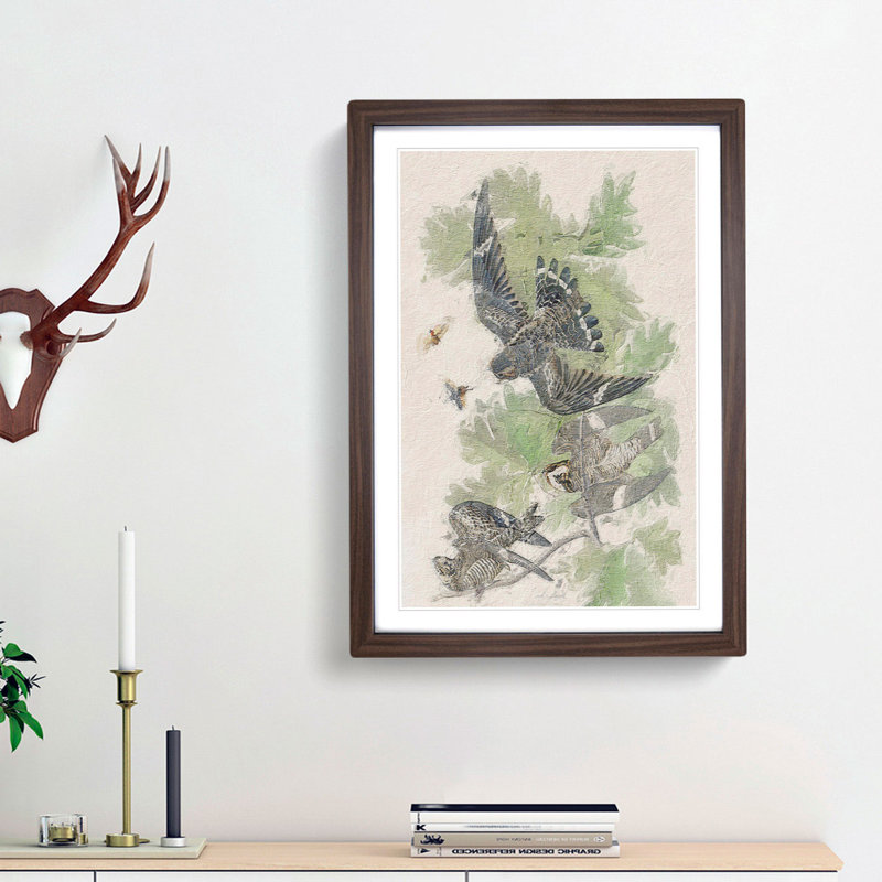 Night Hawks by John Audubon - Picture Frame Painting Print, 36cm H x 27cm W x 2cm D, Walnut Framed