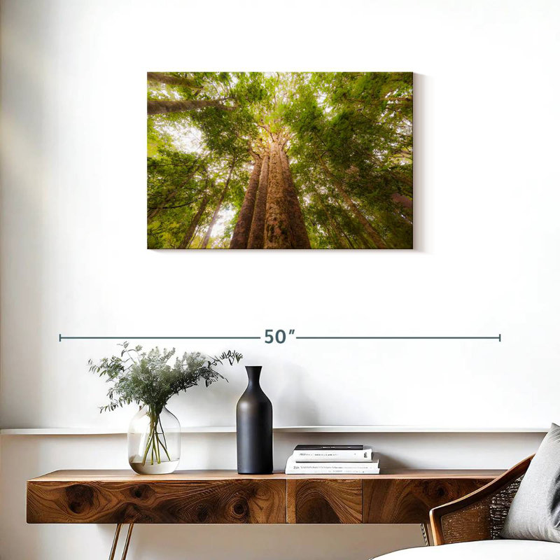 Arbres Harnek Waipoua Kauri, H 20 po x l 30 po