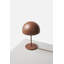 Pin Lamp-1426218558