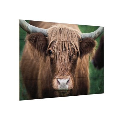 Nathan Larson 'Cow Nose' Wood Slat Art -  Trademark Fine Art, WAP30602-WS1216W