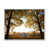 White Floater Framed Canvas selected