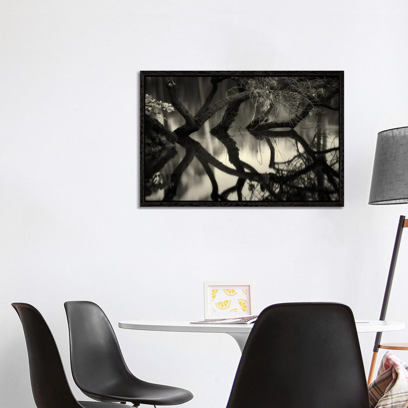 Tree Reflection by Dennis Frates - Gallery-Wrapped Canvas Giclée on Canvas, Black Floater Frame, 101.6 cm H x 66.04 cm W