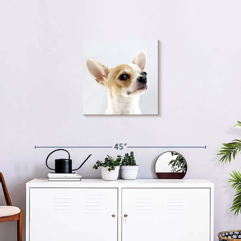 Crowle Musing Chihuahua, 20" H x 20" W