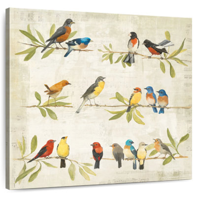 Brampt Adoration Of The Magpie Music