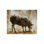 Black Sheep Print by Chelsea Art Studio