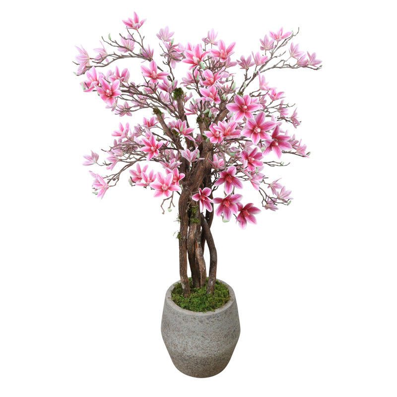 Magnolia Tree in Stone Pot