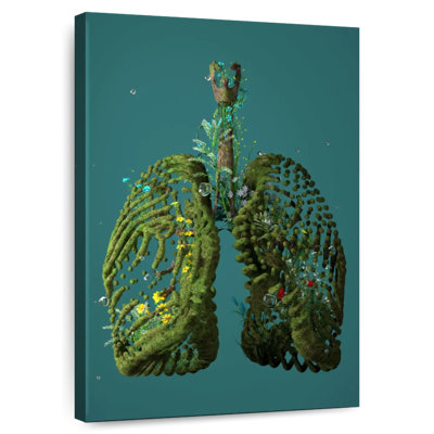 Khazi Clean Green Lungs