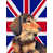 Dachshund 3 selected