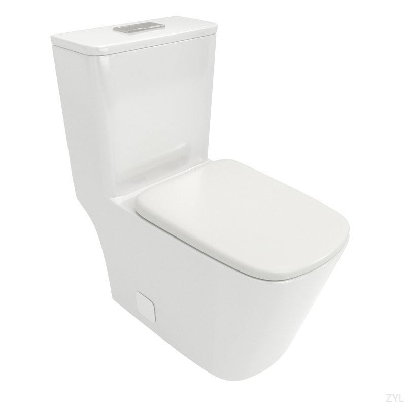 Toilette monobloc en céramique, avec chasse d'eau