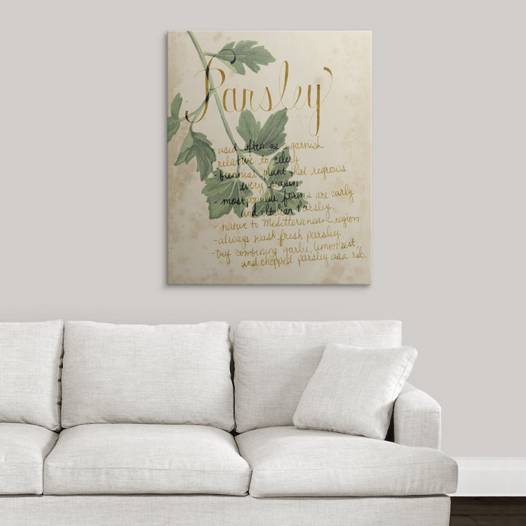 «Herb Study V» Grace Popp, reproduction d'art, H 30 po x l 24 po x P 1,5 po, Toile