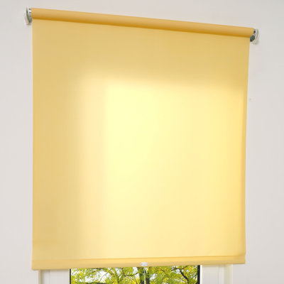 Opaque Roll-Up Shade