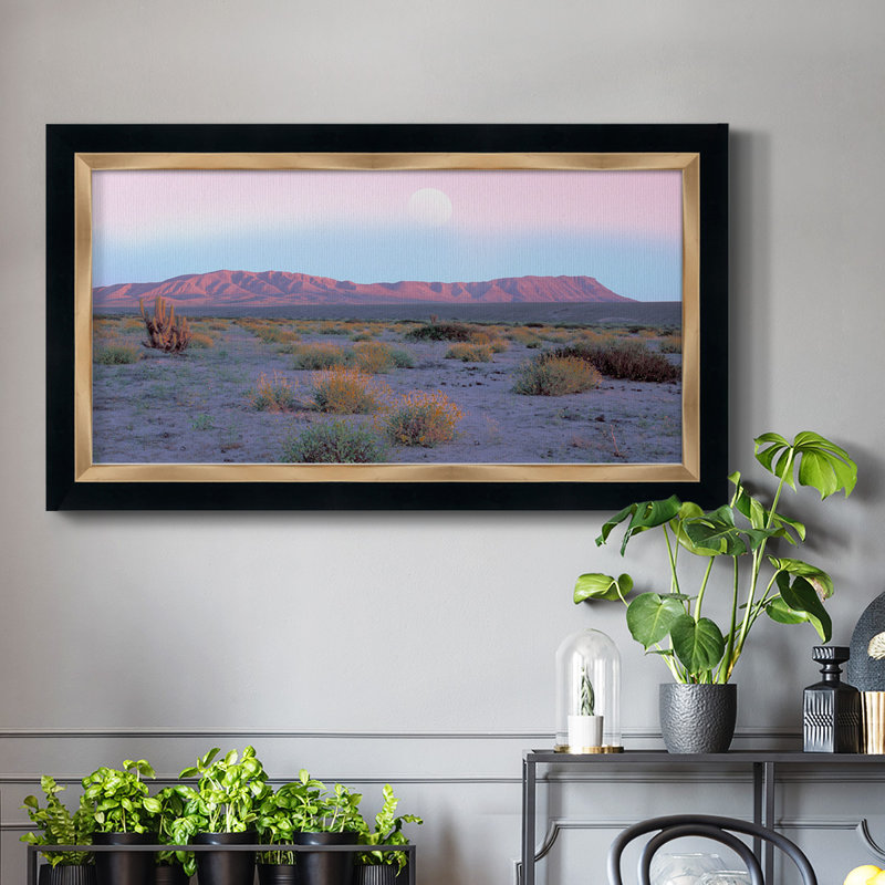 «Vallenar Atacama Desert», reproduction d'un seul cadre photo sur toile, H 25 po x l 45 po x P 2,5 po