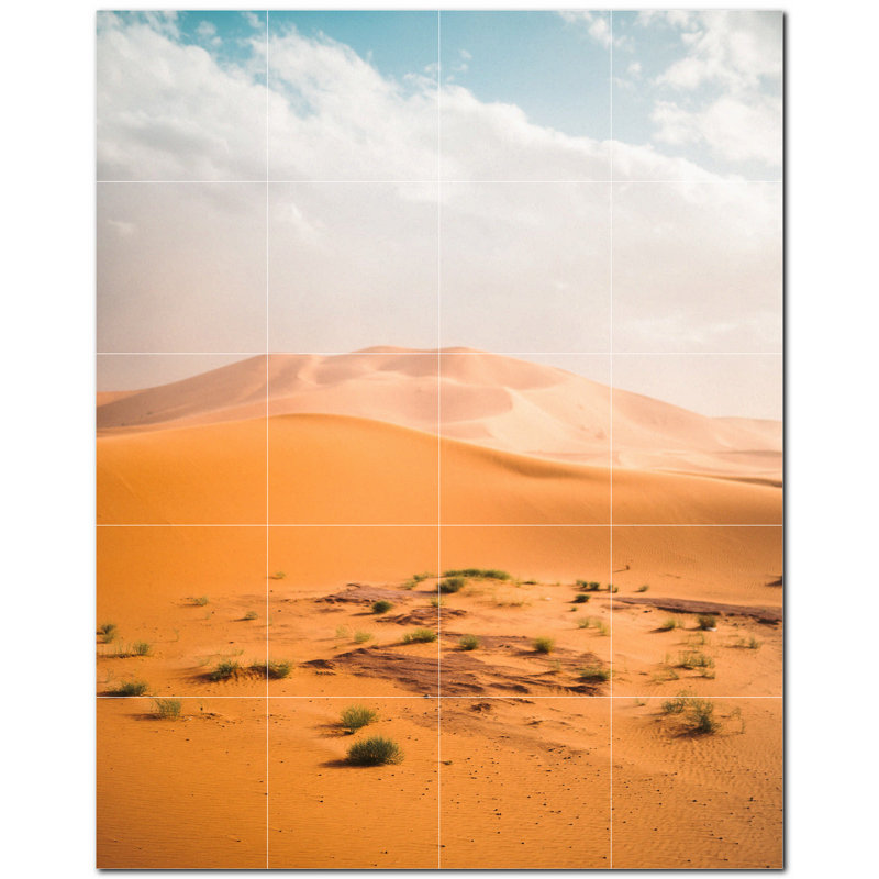 Photo du désert 4,25 x 4,25