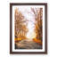 A Road Through the Woods in Abstract - Framed Print-55450897-55450901