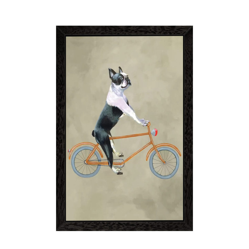 Boston Terrier On Bicycle by Coco De Paris - Print on Canvas, 101.6 cm H x 66.04 cm W, Black Framed