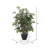 48'' Faux Tree in Wicker/Rattan Basket