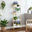 4 Tier Bookshelf, Gold Narrow Bookshelf with Metal Frame, Small Bookshelf with Open Display Shelves, Bookcase for Bedroom Living Room Home Office,White and Gold (2 Pack)