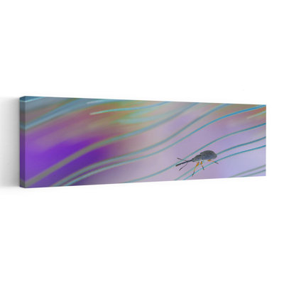 Weevil on Wavy Lines