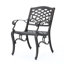 Chaise avec accoudoirs Phoenix (ensemble de 2)-1757101276