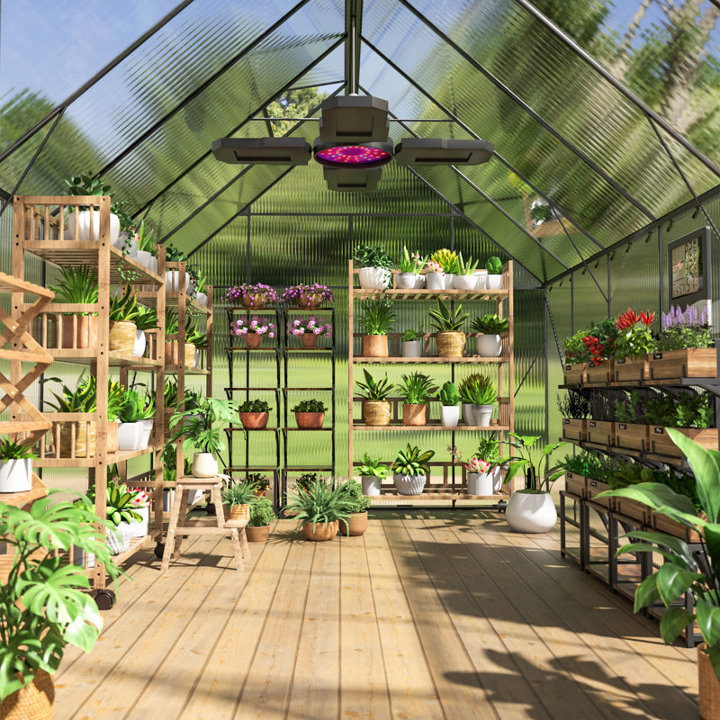 Serre en polycarbonate robuste pour le jardin, la protection et la cour de la structure stable, ventilation avec panneaux
