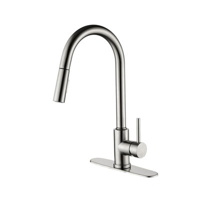 Kitchen Faucet With Pull Down Sprayer
