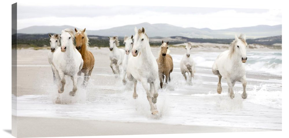 " Horses On The Beach (detail) " by Zero Creative Studio Alcott Hill® 