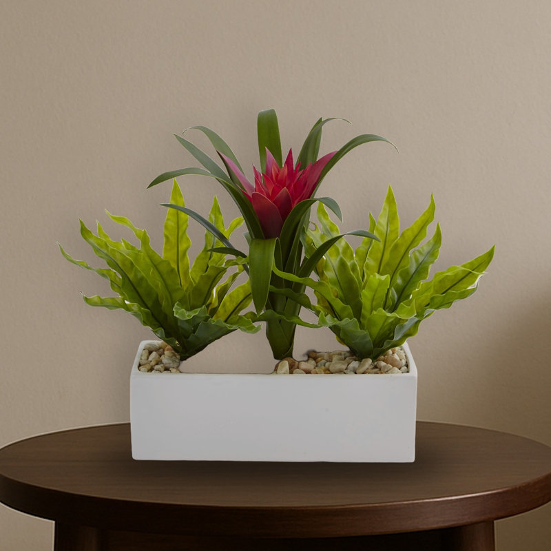 Broméliacées et plante artificielle en pot rectangulaire