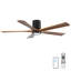 Ventilateur de plafond 60 po avec lumière, plafonnier encastré, 5 pales en bois massif, moteur CC réversible silencieux, application et télécommande, DEL à spectre complet à intensité variable, pour salon ou chambre à coucher de 20 pi x 20 pi, conception de plafond sans pente