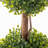 2PC Artificial Plants Indoor