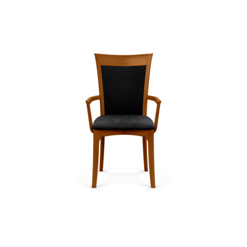Morgan 19.25'' H Upholstered Armchair, Autumn Cherry, Microseude Onyx