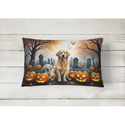  Other/No Pattern Polyester Indoor/Outdoor Throw Pillow