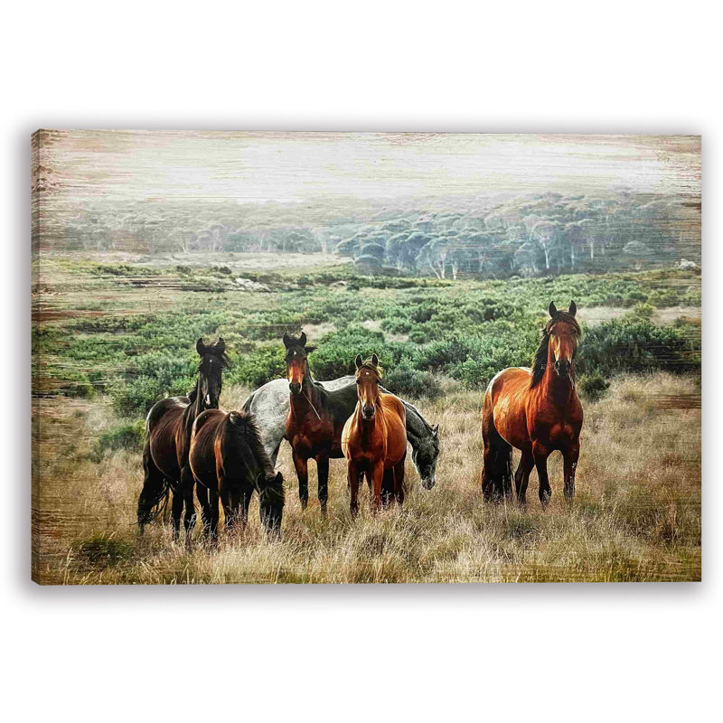 " Horse In Wild ", 24" H x 36" W x 1.5" D