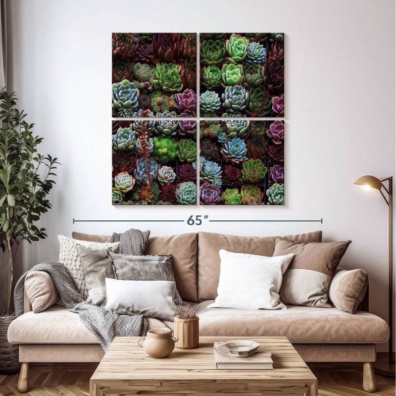 Harnek, un rassemblement de plantes grasses, H 45 po x l 45 po