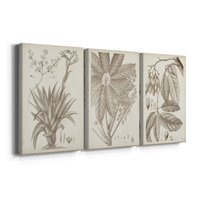 Sépia plantes exotiques IV - Toile tendue sur mesure avec châssis - 3 pièces