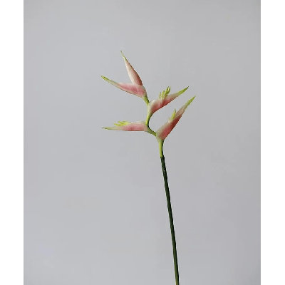 Tropical Heliconia Stem â€“ 32"
