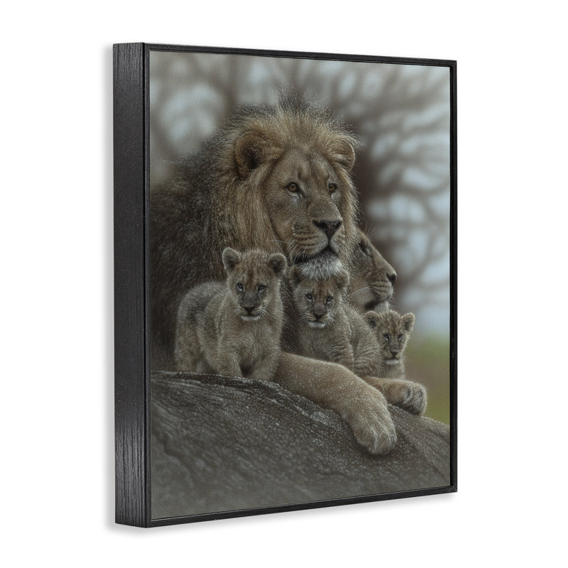 «Family Man Lion Cubs», estampe numérique, conception par Collin Bogle, H 14 po x l 11 po, Giclée encadrée noir minuit